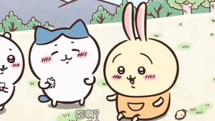 مجموعة أصوات مواليد أوساتشي، جميع الأصوات اللطيفة والغريبة في مشهد واحد لتستمتع بها تمامًا