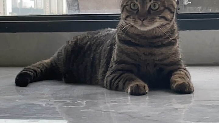 Today I brought Tutu home, and my parents were shocked when they saw him—they couldn’t believe how c