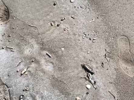 Có ai hiểu không?