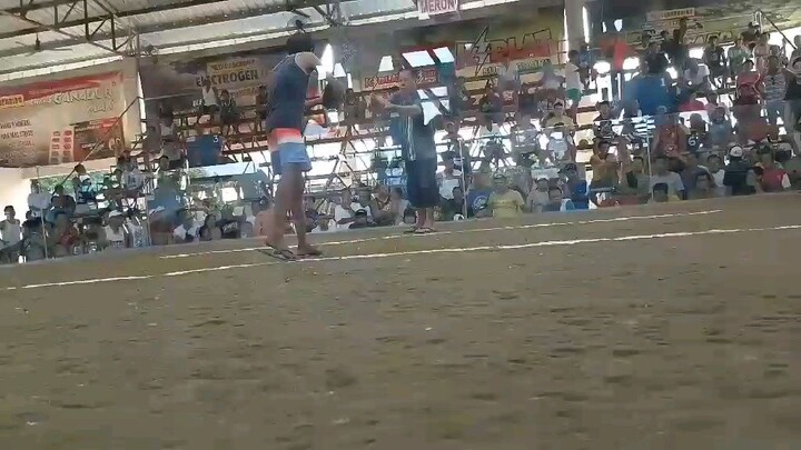 2wins champion 🏆 pula vs bulik win