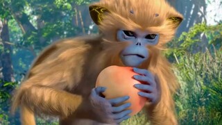 "Help the monkey fight?" "This is our monkey!" | Dadao Chaotianjingjiu