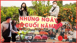 VLOG #tet2022 - Lần đầu tự đi mua quất, tất bật chạy video cuối năm cùng Schannel | Hạnh Chee