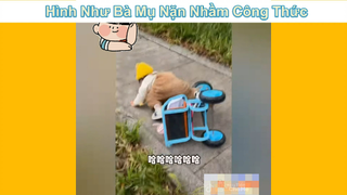 Bà Mục chắc nhặn nhầm đỗ nào đó ?? #funny #haihuoc