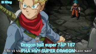 Dragon ball super TẬP 187-PHÁ HỦY SUPER DRAGON