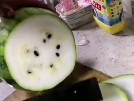 The Watermelon's Revenge