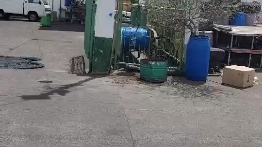 许多我因著好奇心和直觉偶然发现的事物，后来都被证明是无价之宝。