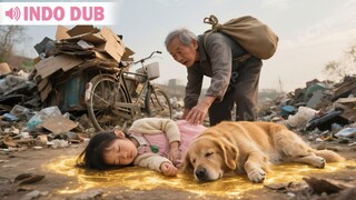 Pria tua memungut bayi dari tempat sampah... delapan belas tahun kemudian bayi itu.... (YT)