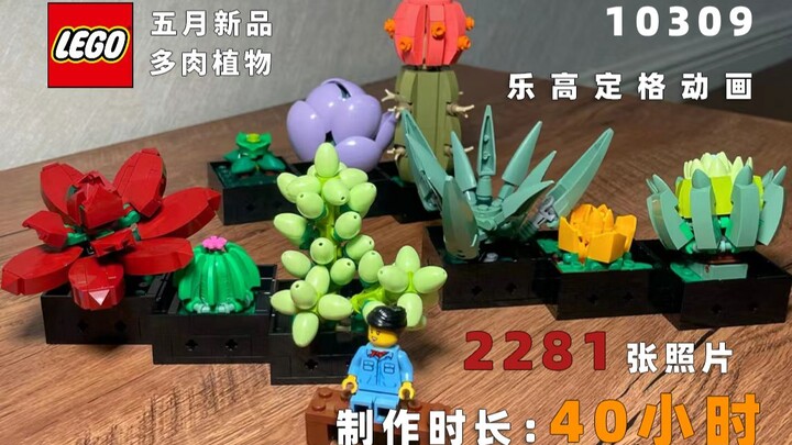 乐高定格动画 爆肝五月新品10309多肉植物