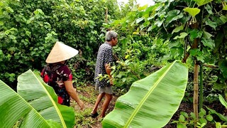 Mưa Bão Không Ra Đồng Được Mình Chiên Khô Hái Thêm Mướp Ăn Đỡ Em Ơi !