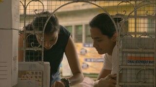 the amazing journey of the letter