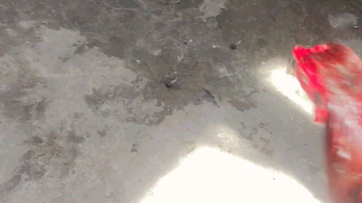 Spar Lang 😊 Hindi Naman Mga Kagalingan Pero Winner Na 🤭 BrassBack Butcher Vs. Melsim Black 🔥