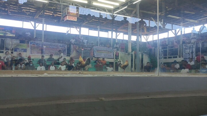 B@kb@kan elims.   Arkims1 WWW         Arkims2 WWW           double day champ