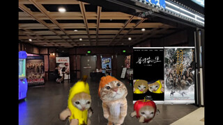 The Banana Cat Who Went to the Movies