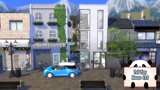 Tall Tiny House: 4x4 - TS4 [SPEED BUILD]