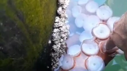 Để xem ai có ý tưởng táo bạo nào