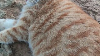 好久没见了，把学长们都打搅一遍