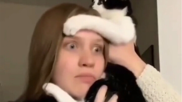 宠物猫咪接电话合集