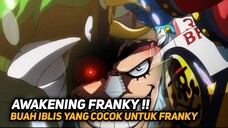 MENGERIKAN !! INI DIA KEKUATAN FRANKY JIKA MEMAKAN BUAH IBLIS !! - ONE PIECE TERBARU