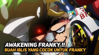 MENGERIKAN !! INI DIA KEKUATAN FRANKY JIKA MEMAKAN BUAH IBLIS !! - ONE PIECE TERBARU