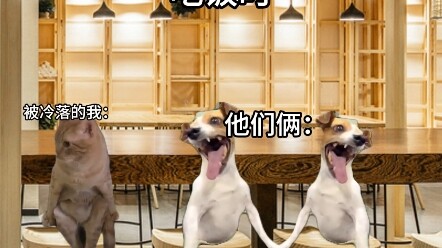 มิตรภาพของคน 3 คน