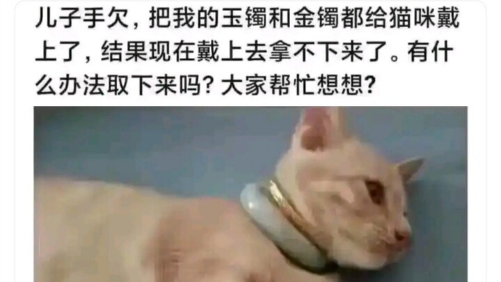 Kalau begini saja tidak menguap, berarti kucing pemberani 👍