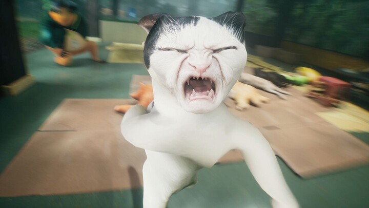Kucing ini dulunya adalah seorang raja.