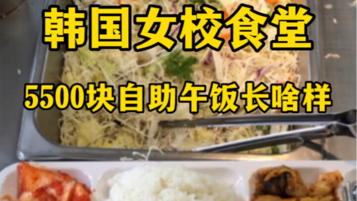 韩国女校食堂5500元自助午饭长啥样？（放假之后我拍点啥好呢？）