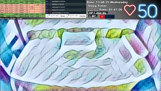 Sleep Stream 13.08.2025