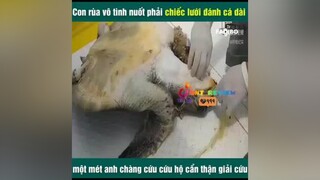 giải cứu con rùa 🐢 reviewphimhay mereviewphim nntreview2 onhaxemtin