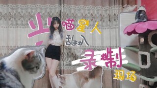 Saat Anda sedang merekam lagu cover dan kucing Anda ingin pergi ke klub malam di tengah malam...