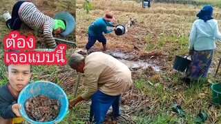 หาปูหาปลาตามธรรมชาติจะเป็นยังไง