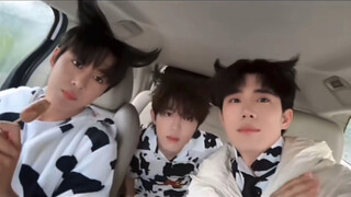 [Ten Hardworking Days] It turns out that the horns of the Crazy Cow Dance are made from their own ha