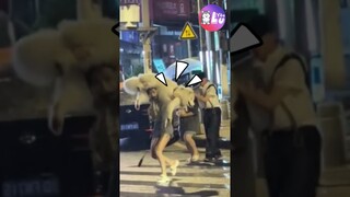 Cùng là chó nhưng 2 số phận 😂 #Shorts #Yeulu #Yeuluofficial