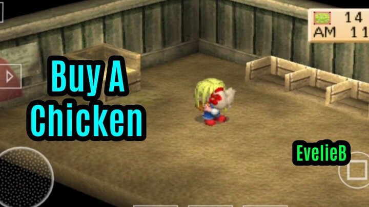 Harvest Moon (Buy A Chicken)