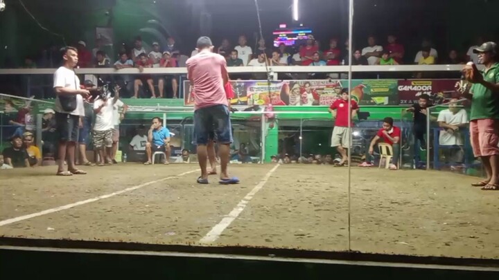 Champion 2hits malabon grande right side