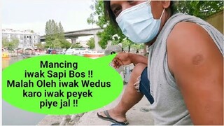 Piye jal!! Mancing 5 kali strike dapat ikan kok ya beda - beda jenisnya || Pemancing Gemblung