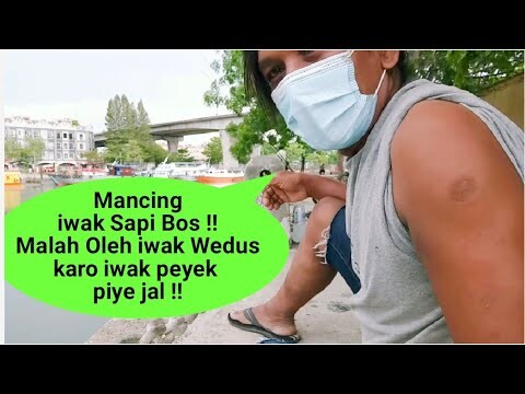 Piye jal!! Mancing 5 kali strike dapat ikan kok ya beda - beda jenisnya || Pemancing Gemblung