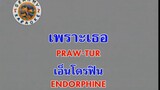 เพราะเธอ (Praw Tur) - เอ็นโดรฟิน (Endorphine)