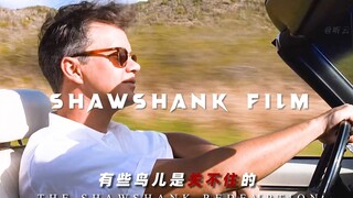 “有些鸟儿是关不住的，他们的羽毛太鲜亮了”