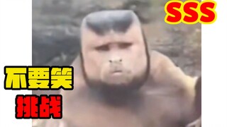 【猕 hotel 级】不要笑挑战！！！萌新级难度！！！只有52.0%的人能忍住不笑！！！快进来快乐～