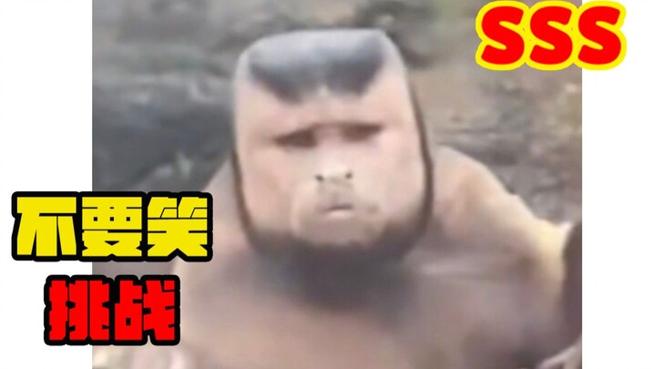 【猕 hotel 级】不要笑挑战！！！萌新级难度！！！只有52.0%的人能忍住不笑！！！快进来快乐～