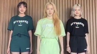 STAYC《宣美 - You Can't Sit With Us》舞蹈视频公开！