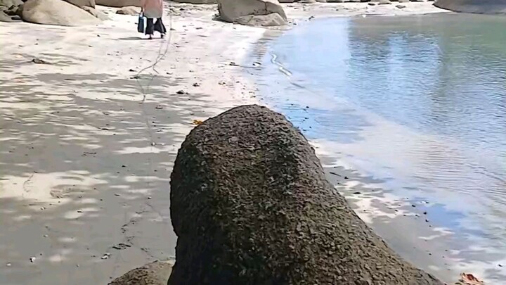 beach