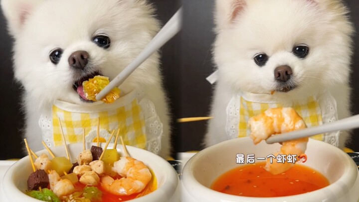Today's meal: Puppy-style BoBo Chicken!