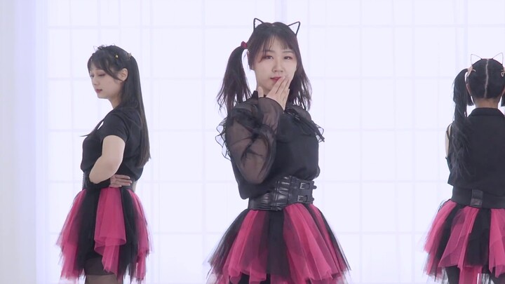 【You·Wan·Mushroom】kucing merah muda-kucing hitam seksi online