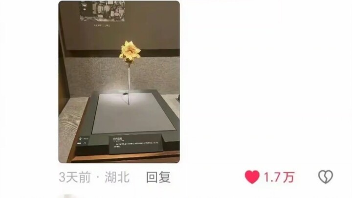 Sau khi xem những hiện vật trong bảo tàng, tôi mới hiểu cặn kẽ tâm lý đấu đá chốn hậu cung của các p