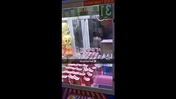 funny video compilations