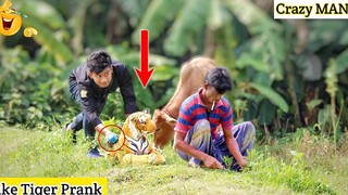 วิดีโอเล่นตลก Tiger vs Crazy MAN วิดีโอ Fake Tiger Vs Man Prank - ComicaL TV