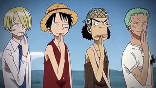 My straw hat boys❣️