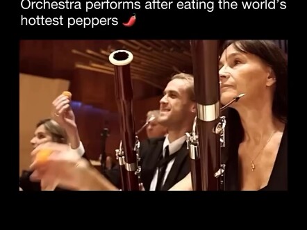 当管弦乐团成员在吃下世界上最辣的辣椒后演奏